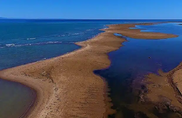 Delta de l ebre